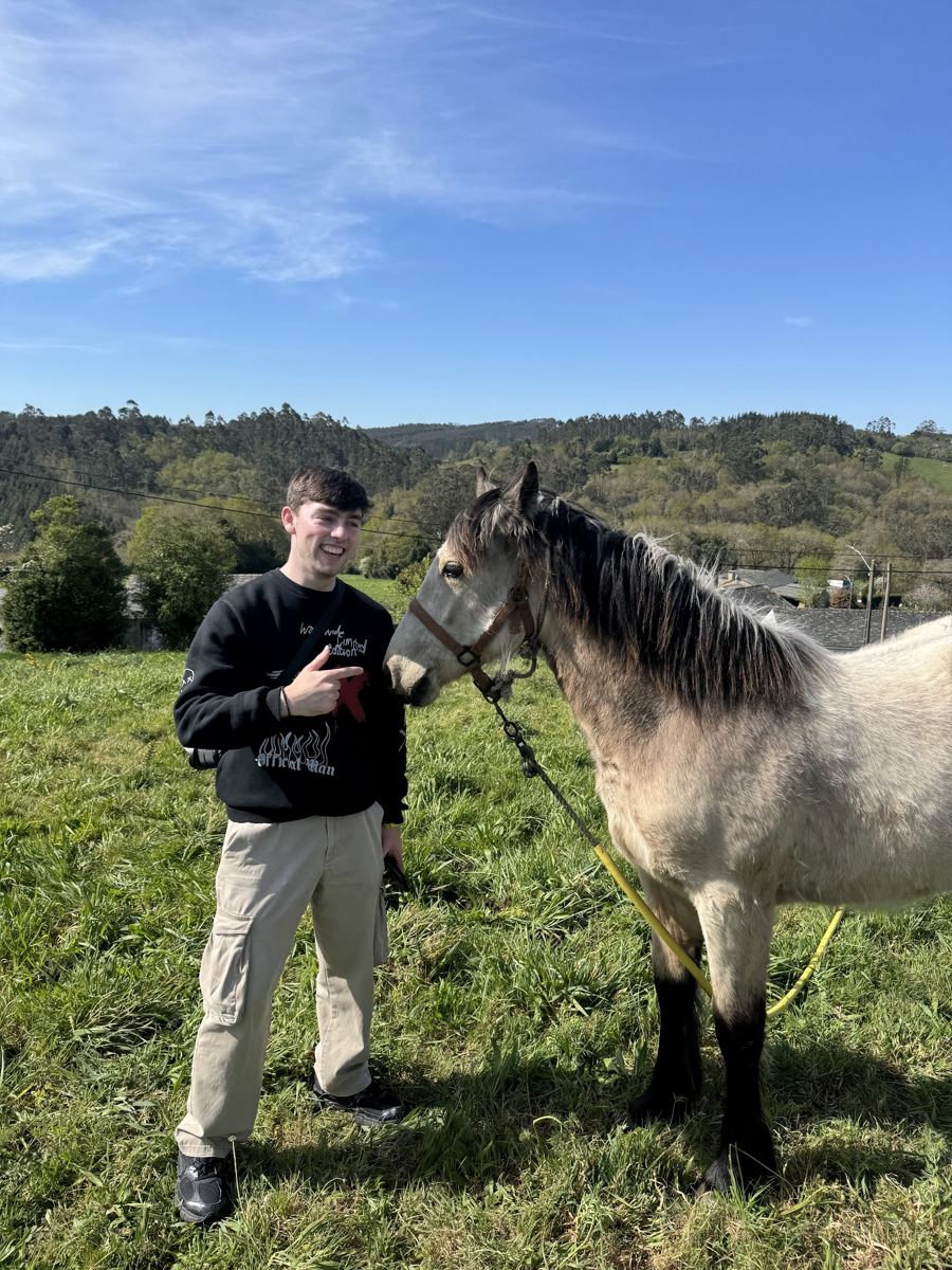Encuentro con un caballo en el prado