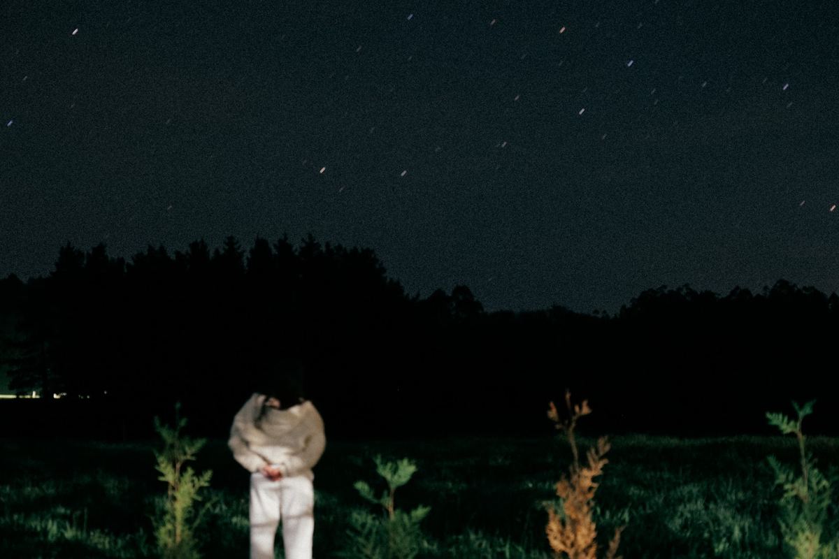 Noche estrellada en Das Nest
